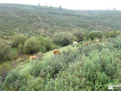 Pinar de Casasola-Embalse del Villar; niveles noguera ribagorçana calzado para senderismo frente bat